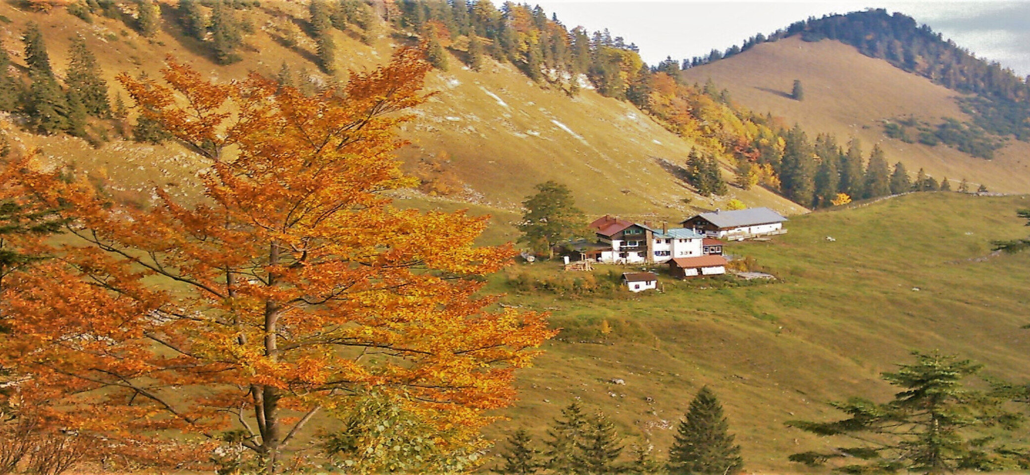 Bodenschneidhaus_ Herbst | © Sektion Bodenschneid